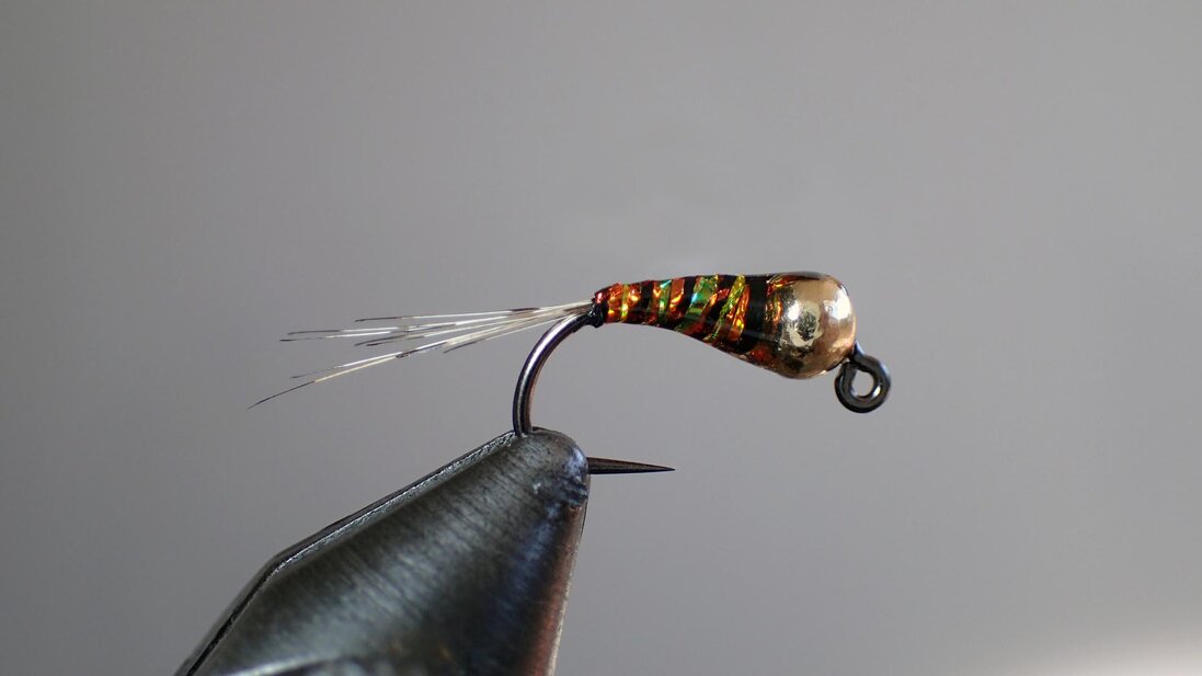 Perdigon lucido su amo jig