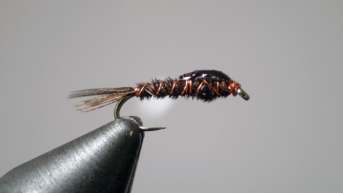 Pheasant Tail Nymph con bead