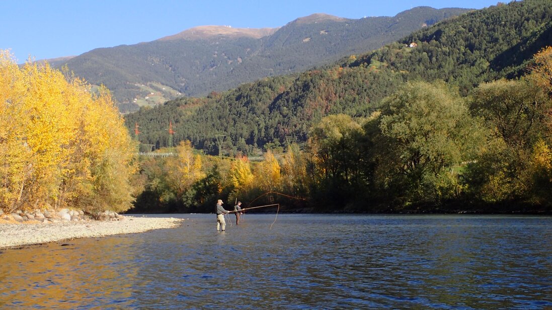 Collage di foto di pesca a mosca e paesaggi alpini