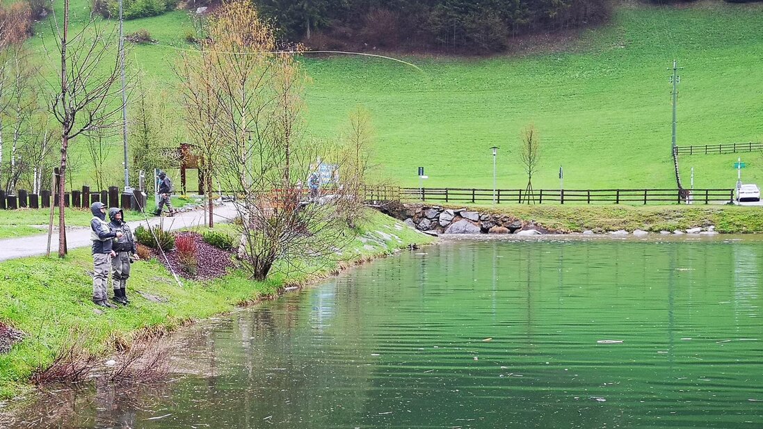 Riva erbosa con corrente lenta